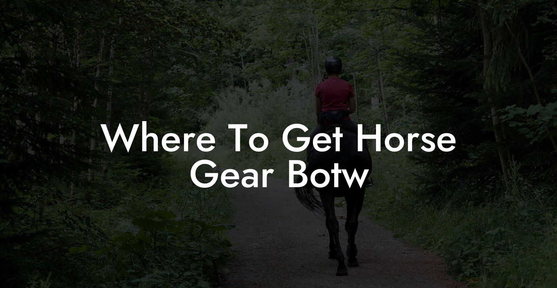 Where To Get Horse Gear Botw