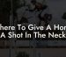 Where To Give A Horse A Shot In The Neck