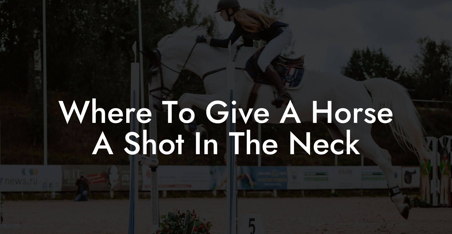 Where To Give A Horse A Shot In The Neck