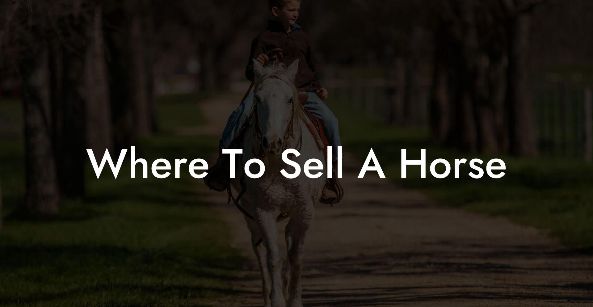 Where To Sell A Horse