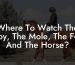 Where To Watch The Boy, The Mole, The Fox And The Horse?