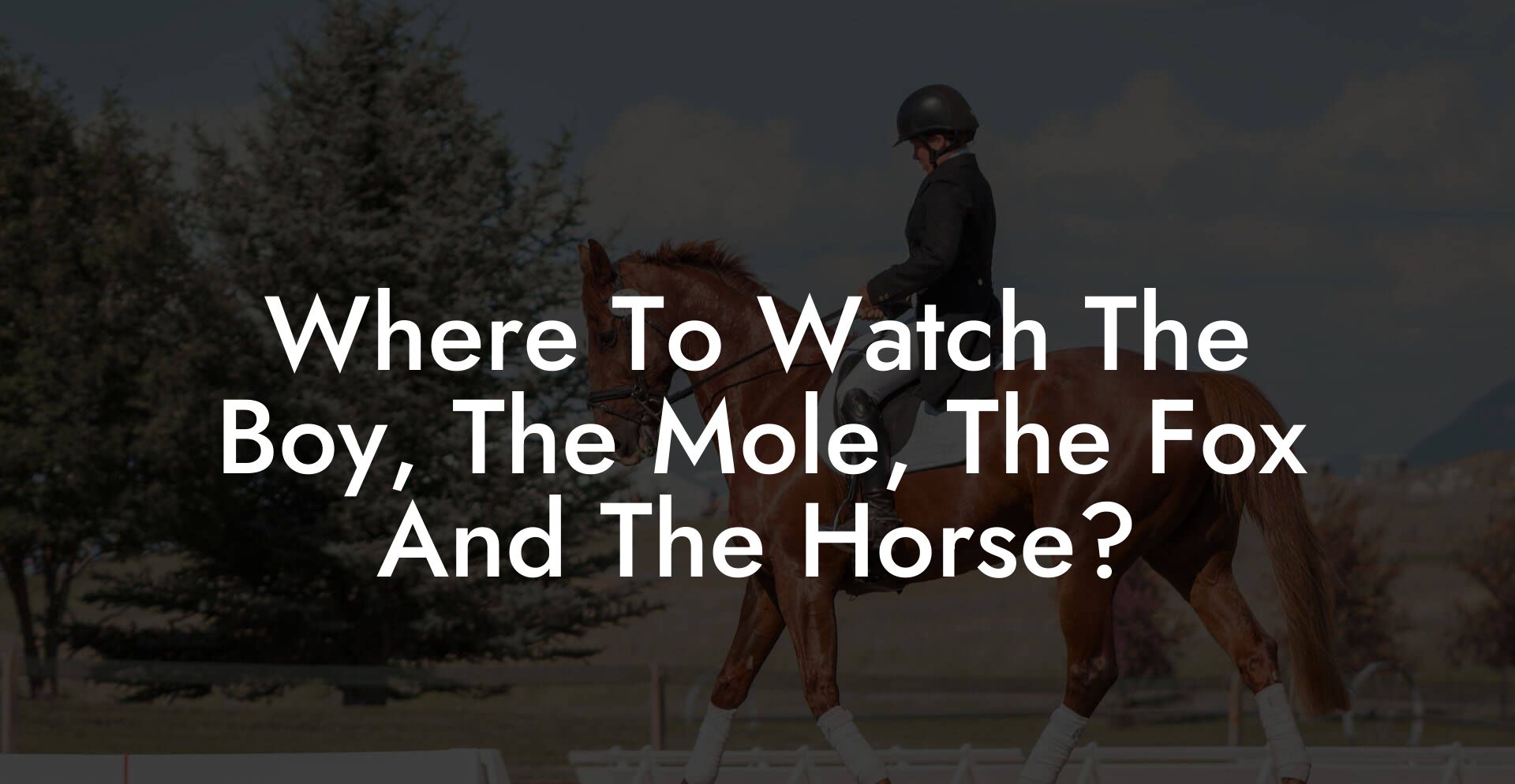 Where To Watch The Boy, The Mole, The Fox And The Horse?