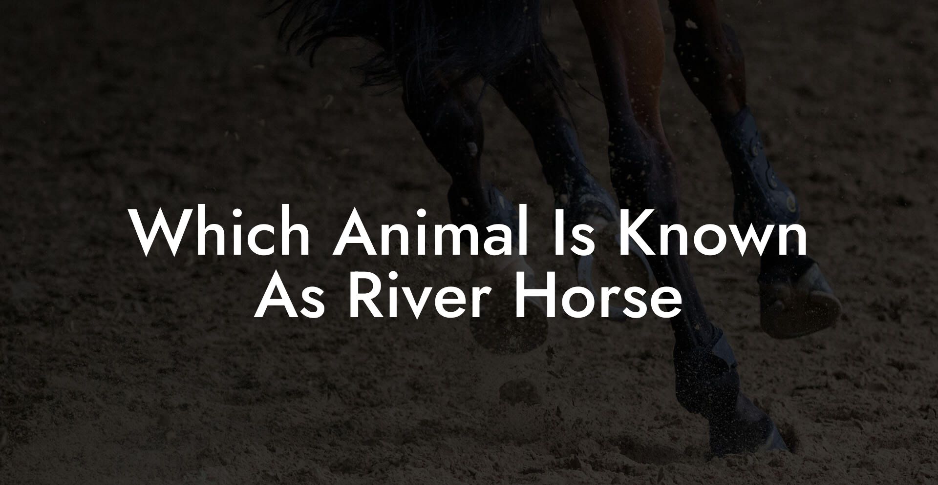 Which Animal Is Known As River Horse