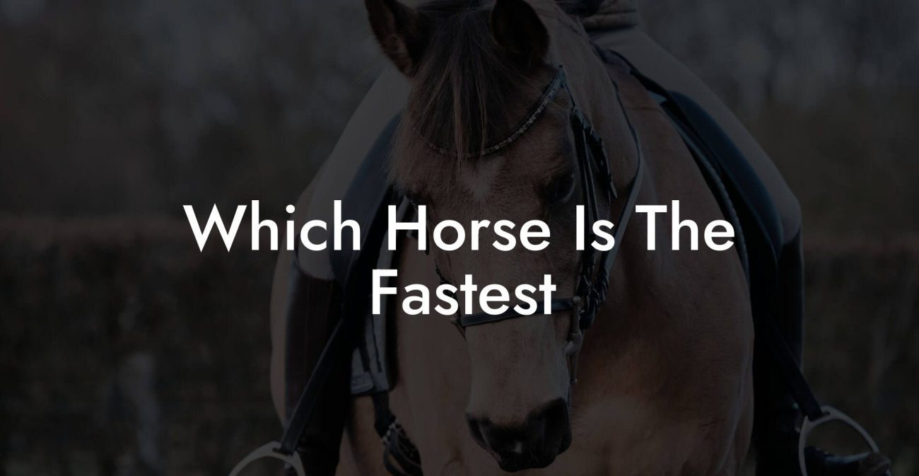 Which Horse Is The Fastest