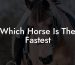 Which Horse Is The Fastest