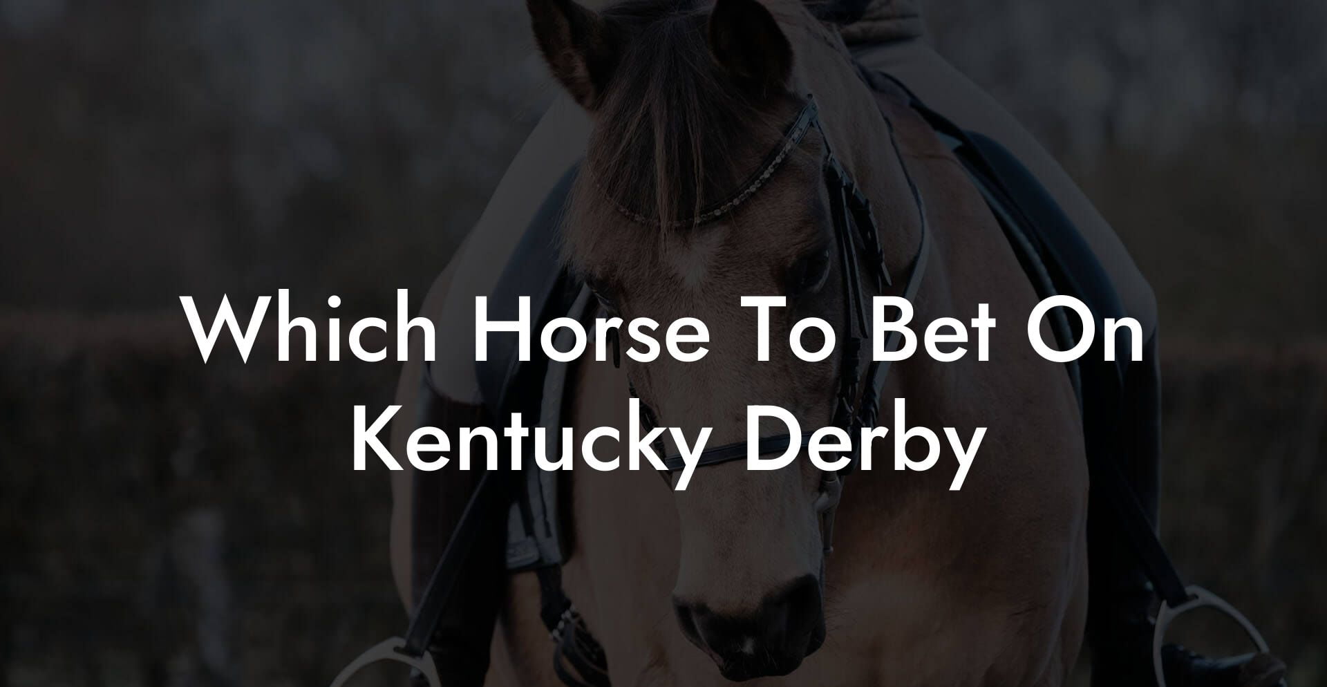Which Horse To Bet On Kentucky Derby