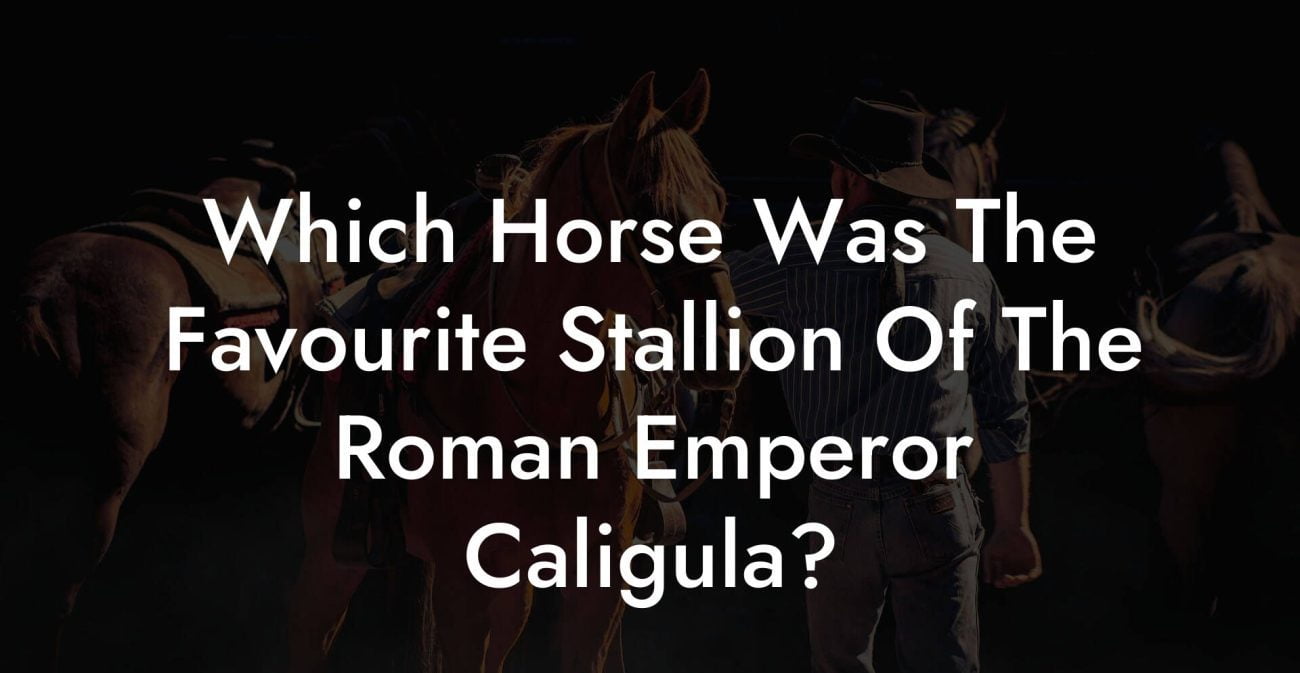 Which Horse Was The Favourite Stallion Of The Roman Emperor Caligula?