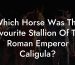 Which Horse Was The Favourite Stallion Of The Roman Emperor Caligula?