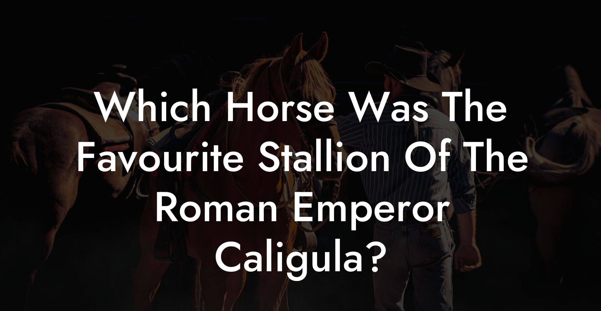 Which Horse Was The Favourite Stallion Of The Roman Emperor Caligula?