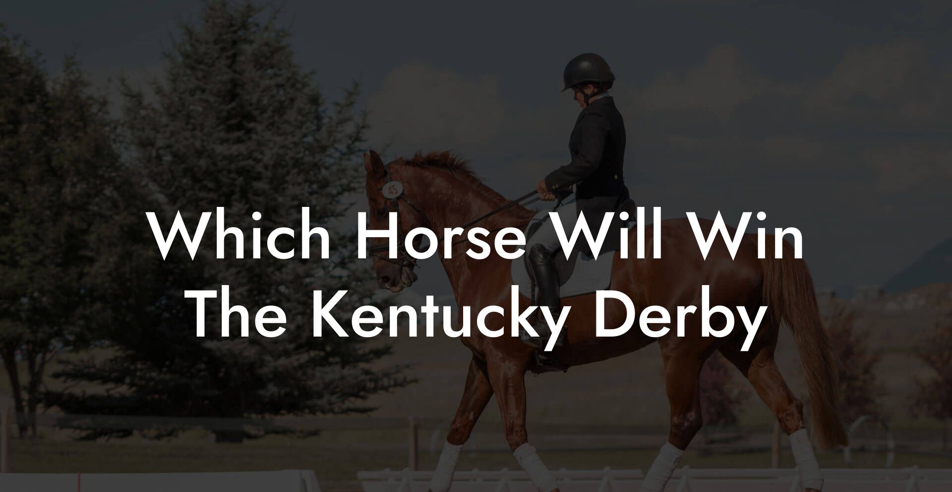 Which Horse Will Win The Kentucky Derby