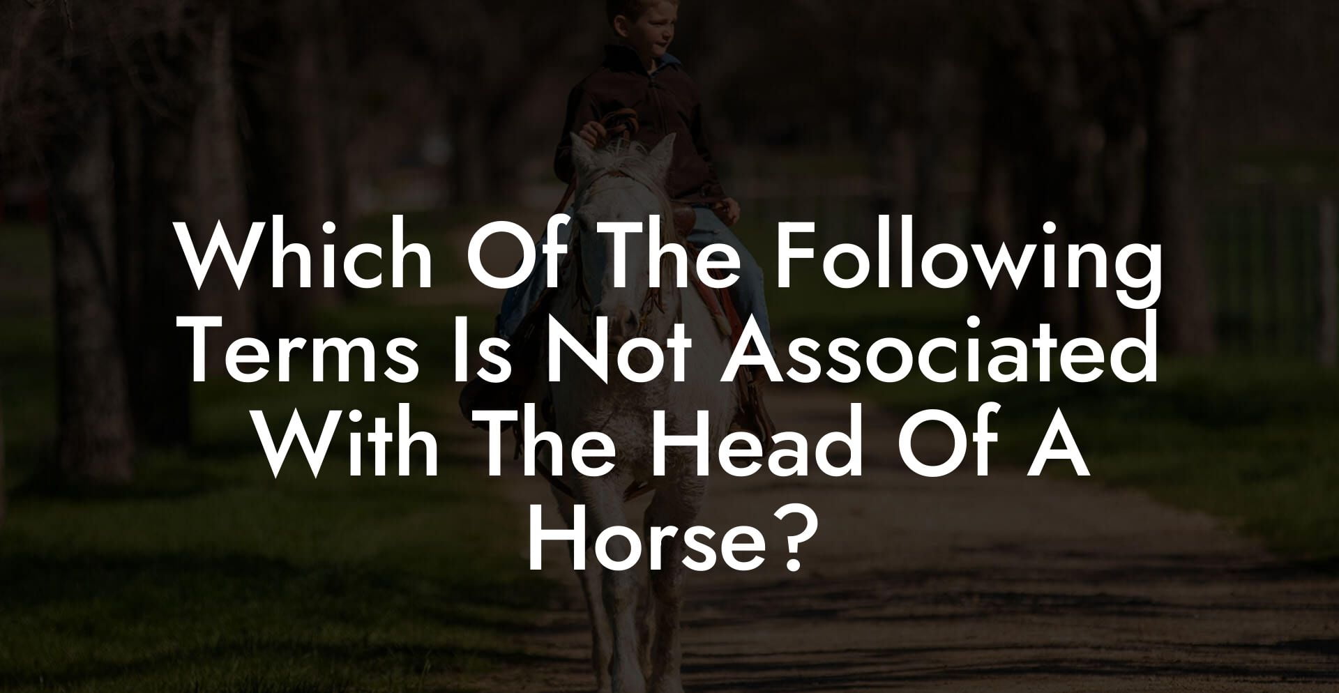 Which Of The Following Terms Is Not Associated With The Head Of A Horse?