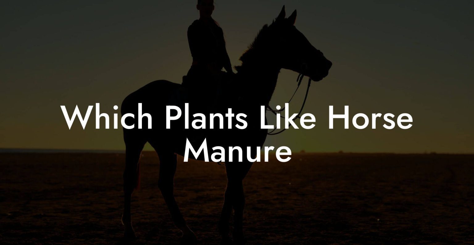 Which Plants Like Horse Manure How To Own a Horse