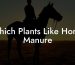 Which Plants Like Horse Manure