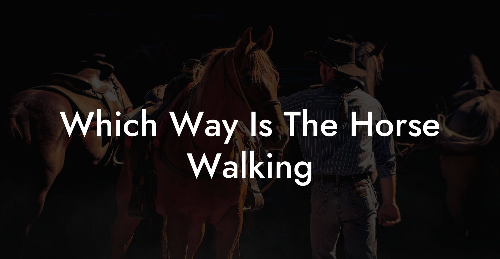 Which Way Is The Horse Walking