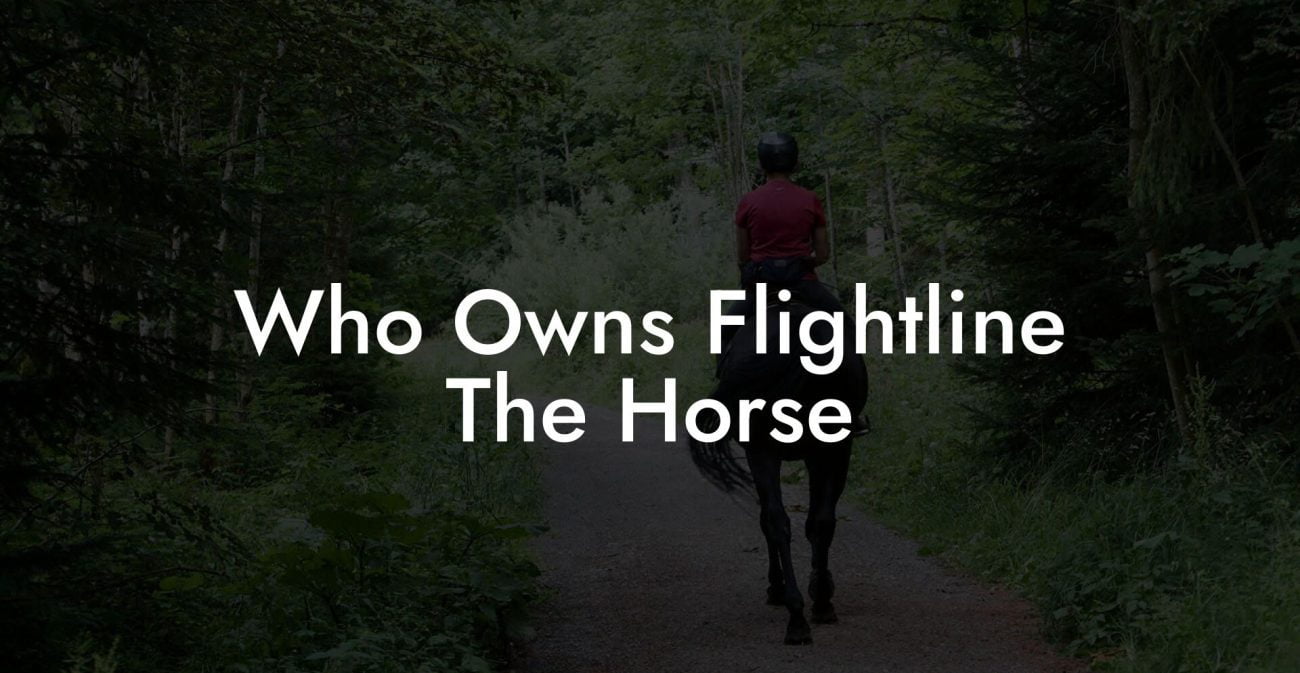 Who Owns Flightline The Horse