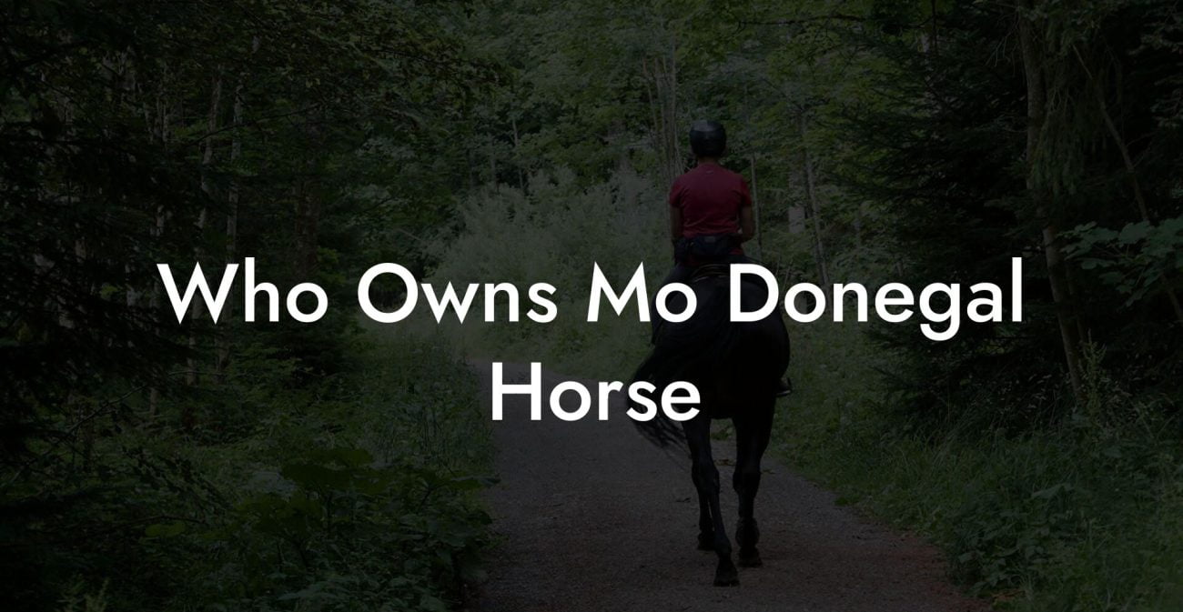 Who Owns Mo Donegal Horse