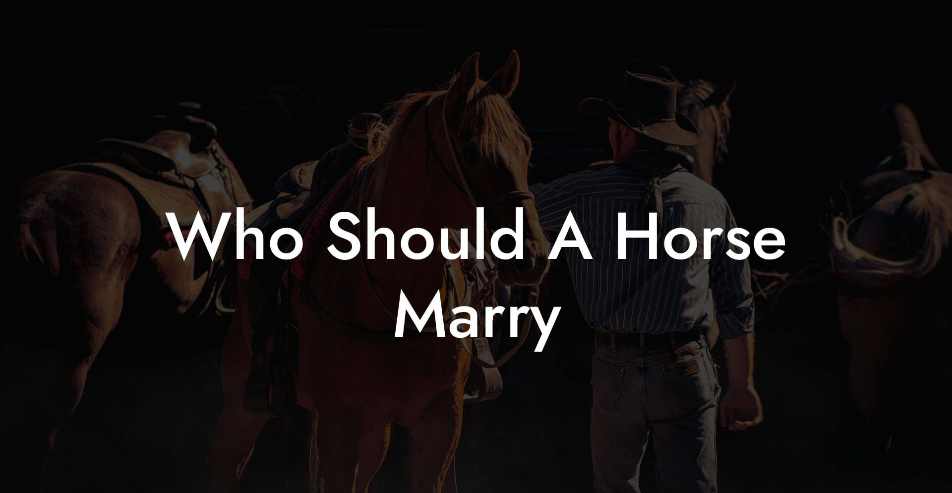 Who Should A Horse Marry