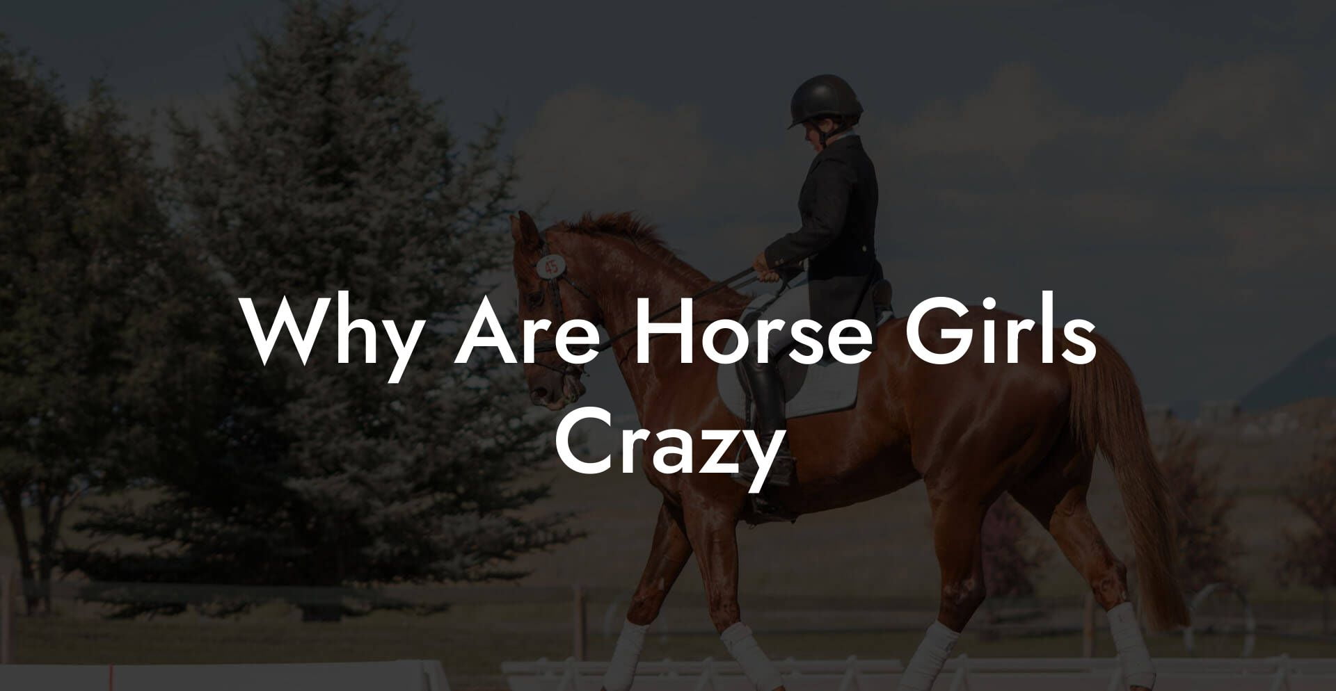 Why Are Horse Girls Crazy