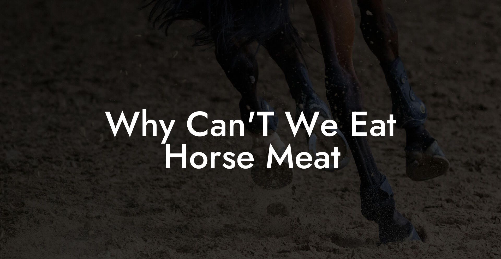 Why Can'T We Eat Horse Meat