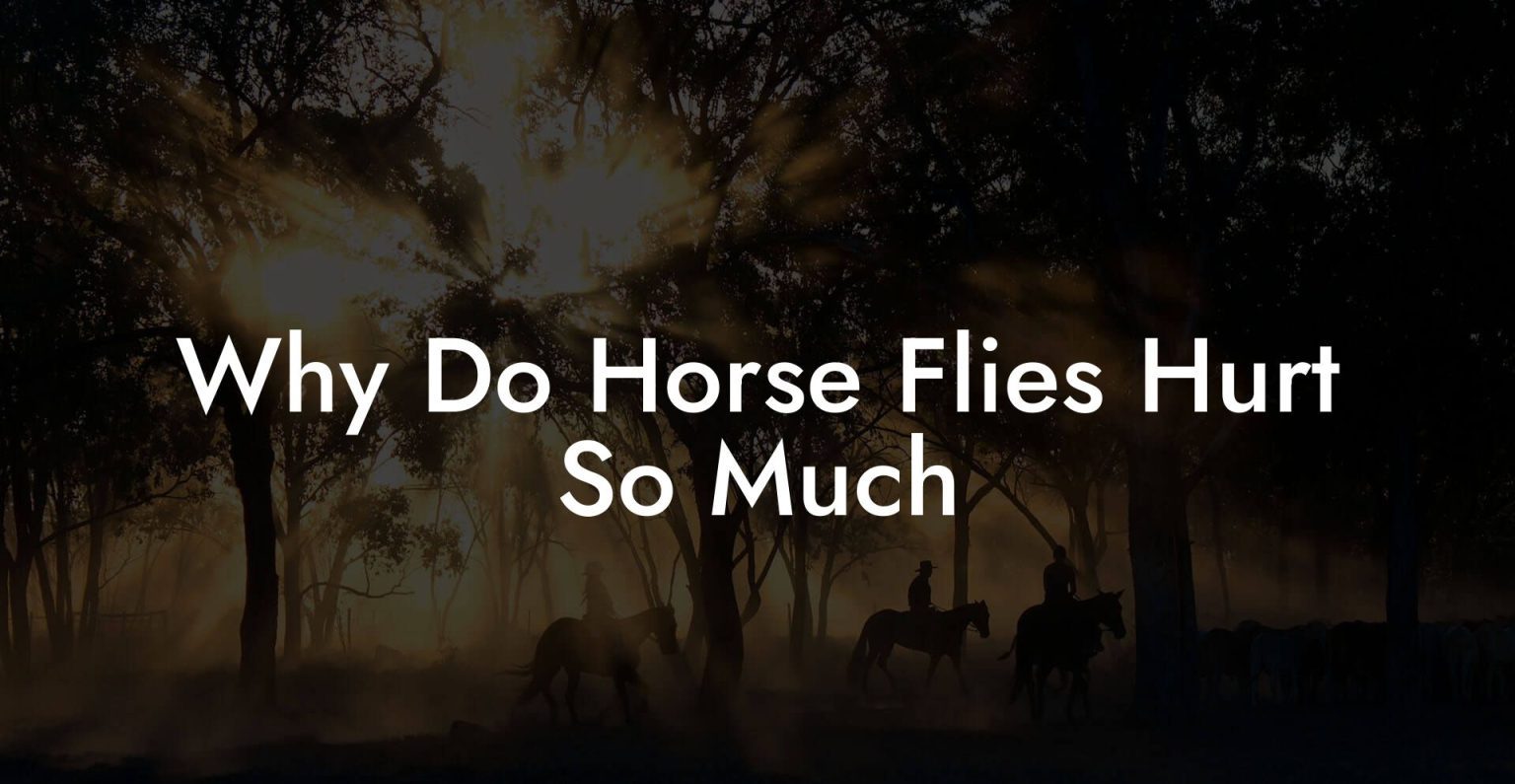 Why Do Horse Flies Hurt So Much How To Own a Horse