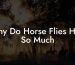 Why Do Horse Flies Hurt So Much