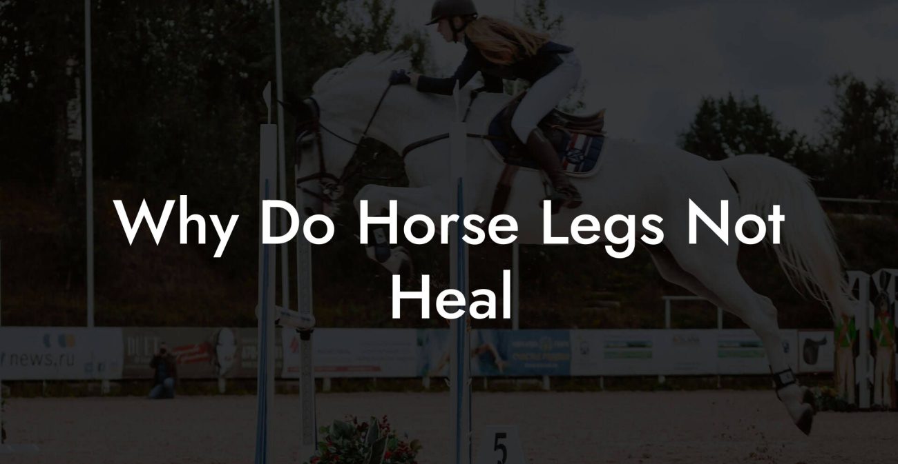 Why Do Horse Legs Not Heal