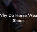 Why Do Horse Wear Shoes