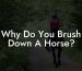 Why Do You Brush Down A Horse?