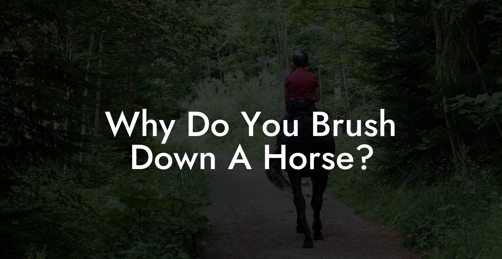 Why Do You Brush Down A Horse?