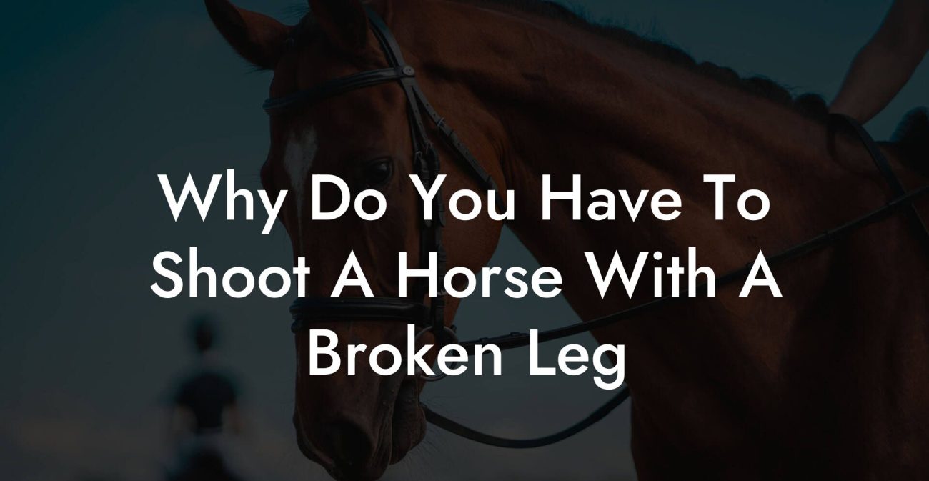 Why Do You Have To Shoot A Horse With A Broken Leg