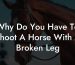 Why Do You Have To Shoot A Horse With A Broken Leg