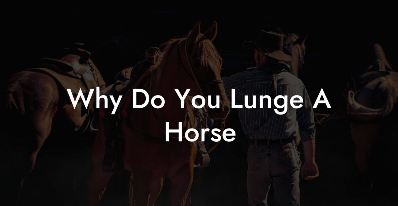 Why Do You Lunge A Horse