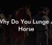 Why Do You Lunge A Horse