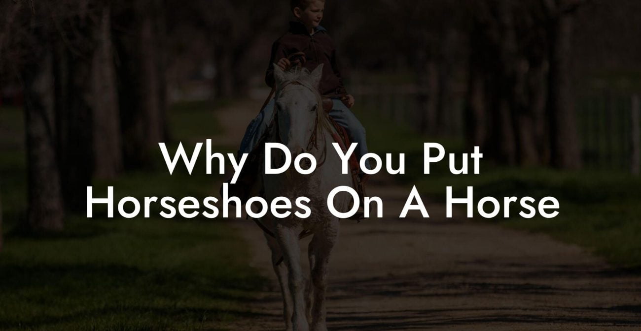 Why Do You Put Horseshoes On A Horse