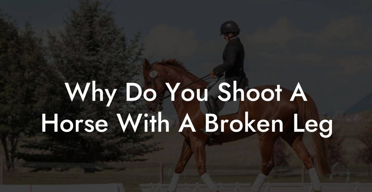 Why Do You Shoot A Horse With A Broken Leg