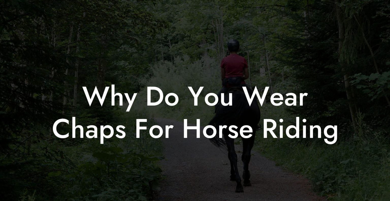 Why Do You Wear Chaps For Horse Riding How To Own a Horse