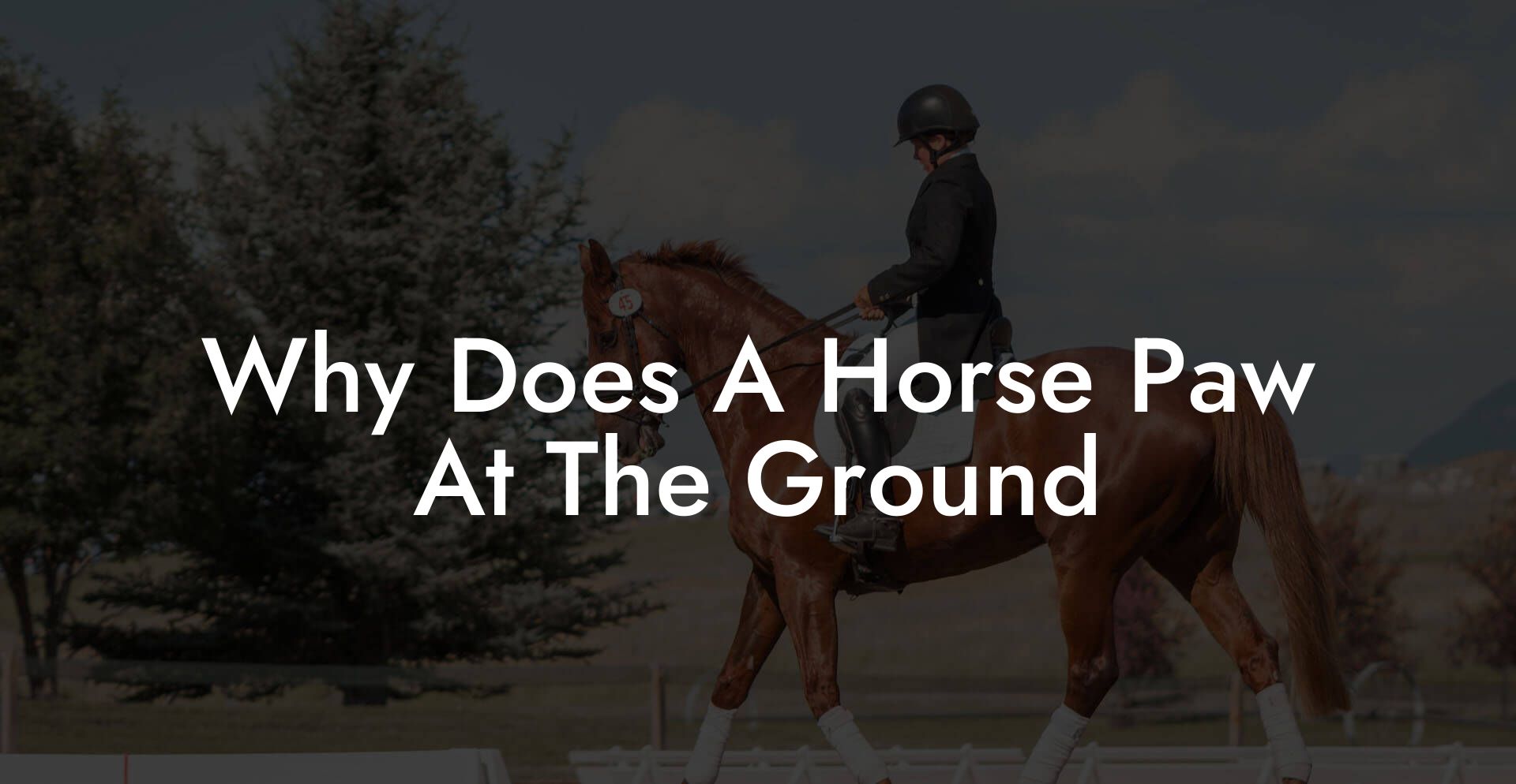 Why Does A Horse Paw At The Ground