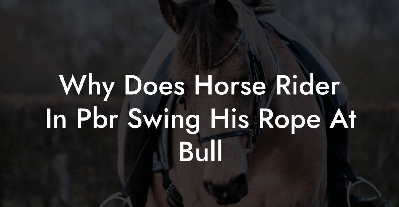 Why Does Horse Rider In Pbr Swing His Rope At Bull