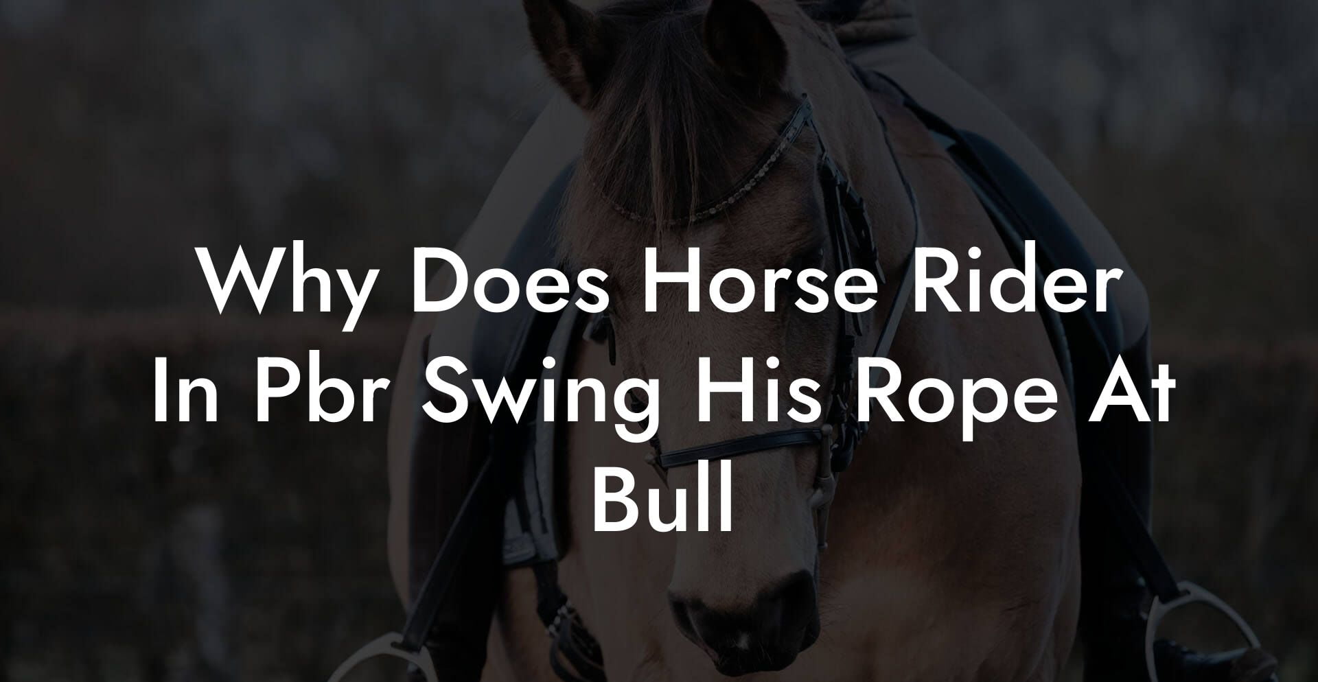 Why Does Horse Rider In Pbr Swing His Rope At Bull
