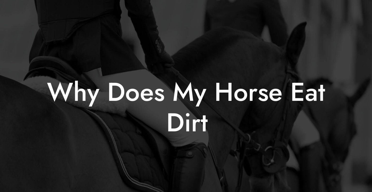 Why Does My Horse Eat Dirt How To Own a Horse