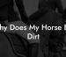 Why Does My Horse Eat Dirt