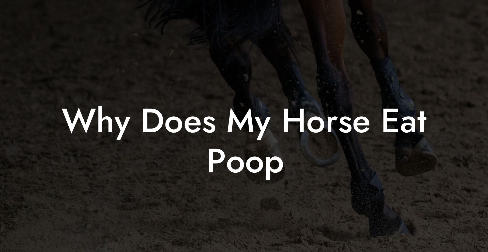 Why Does My Horse Eat Poop