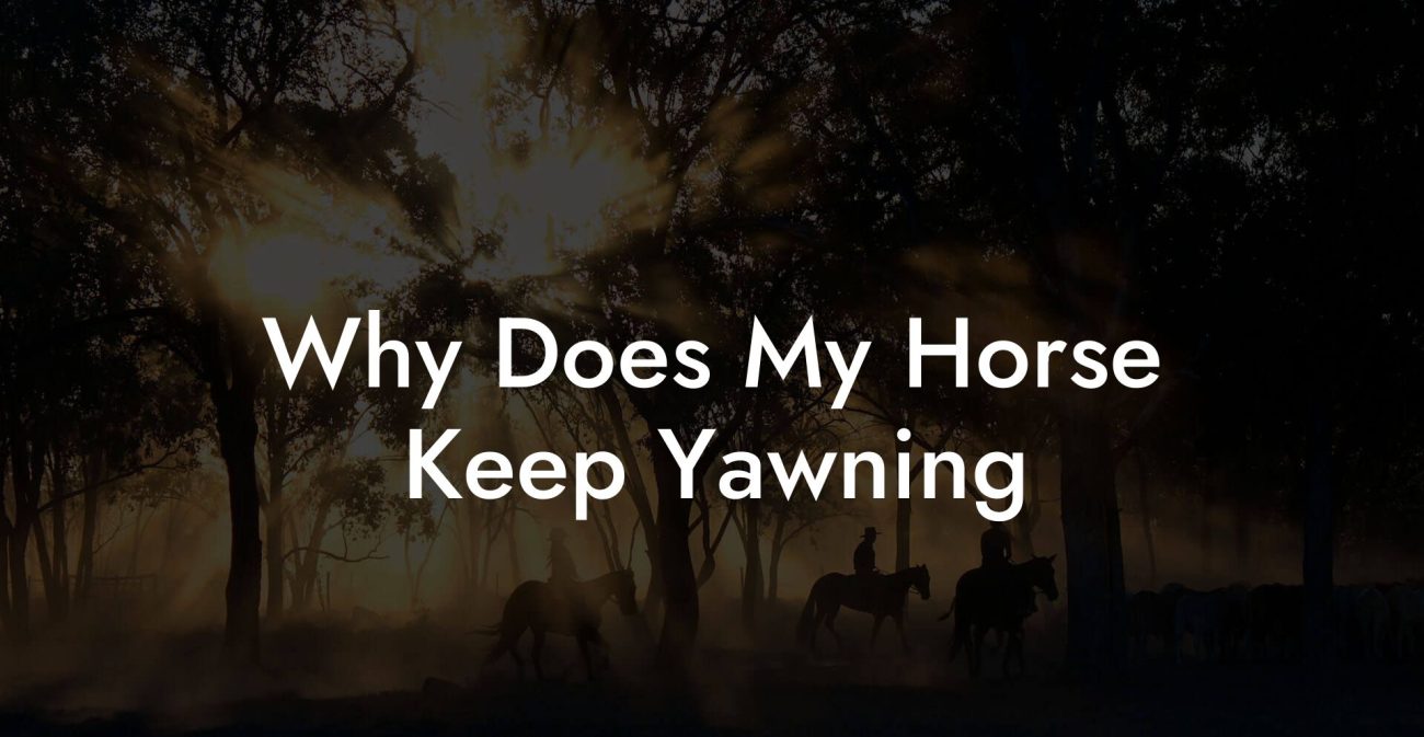 Why Does My Horse Keep Yawning