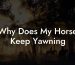 Why Does My Horse Keep Yawning