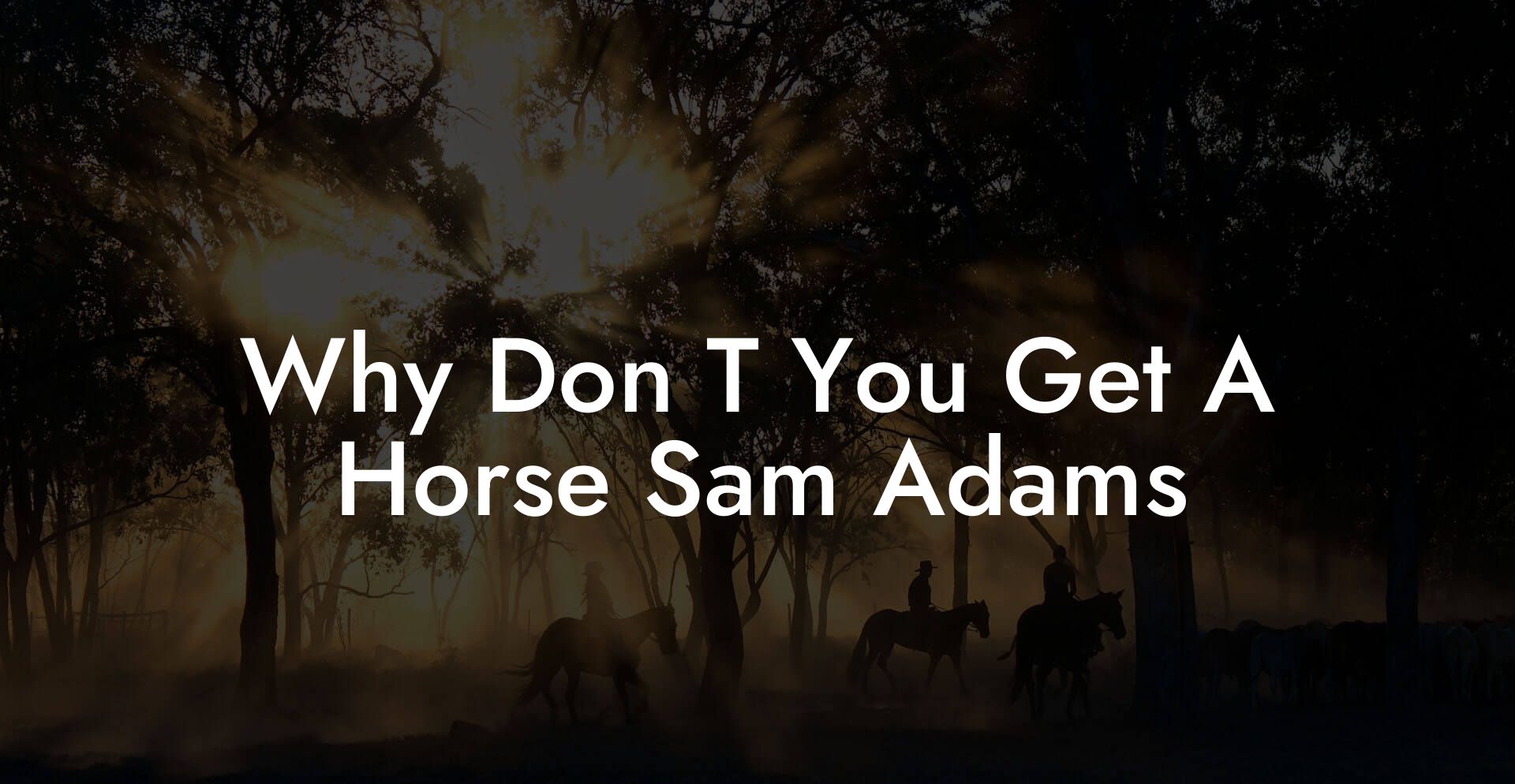 Why Don T You Get A Horse Sam Adams