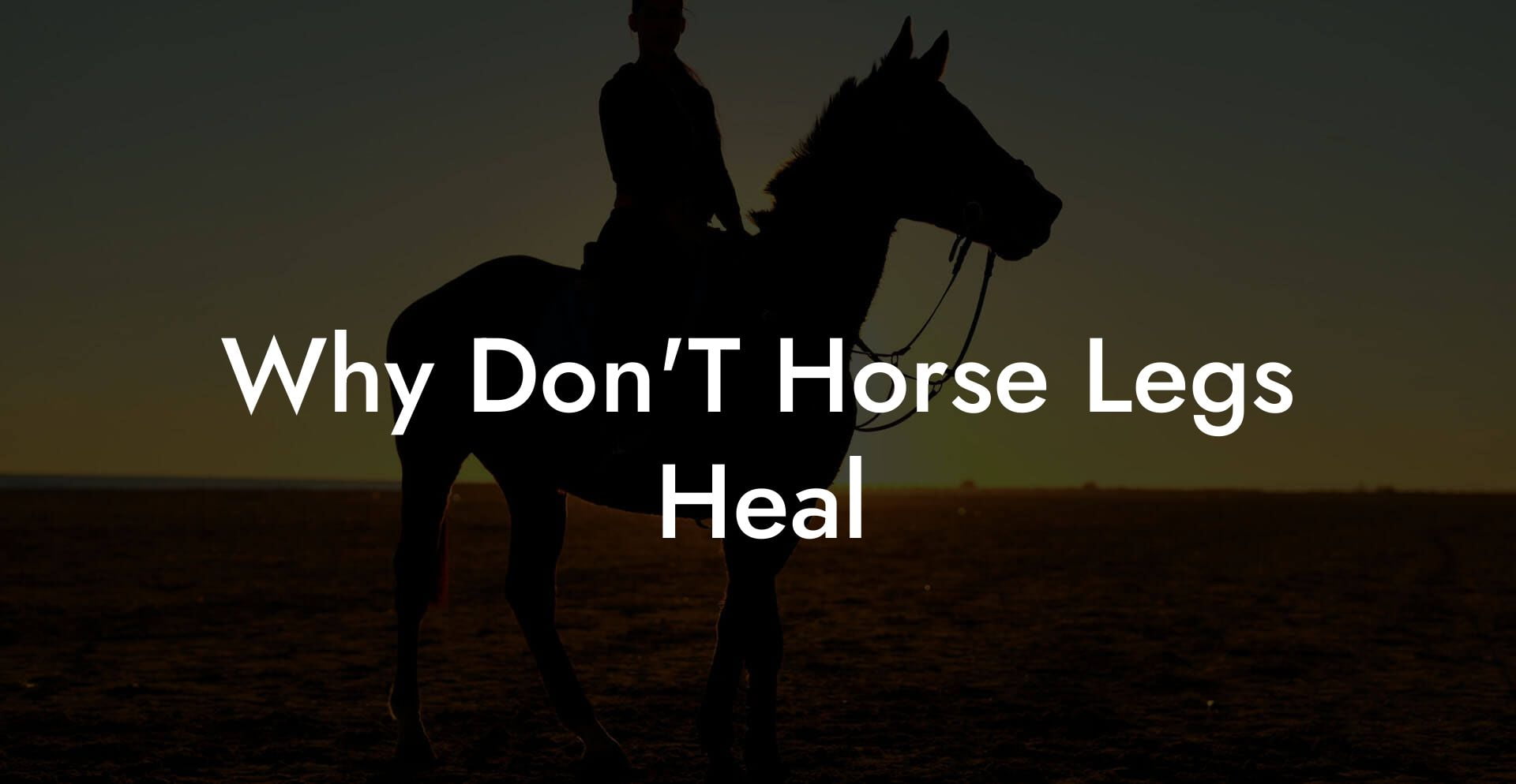 Why Don'T Horse Legs Heal