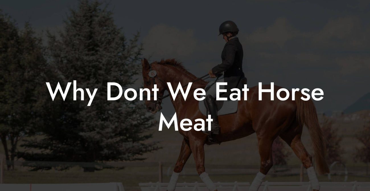 Why Dont We Eat Horse Meat