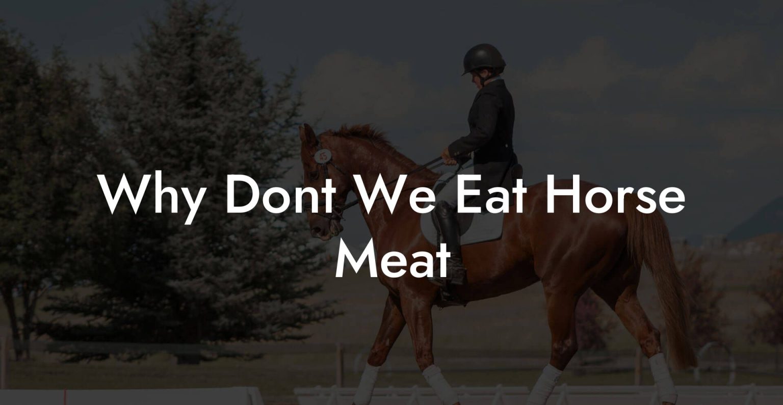 Why Dont We Eat Horse Meat How To Own a Horse