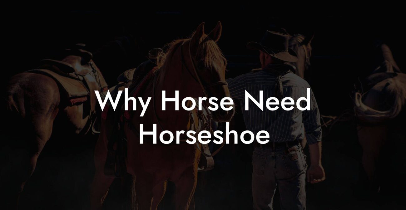 Why Horse Need Horseshoe