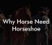 Why Horse Need Horseshoe